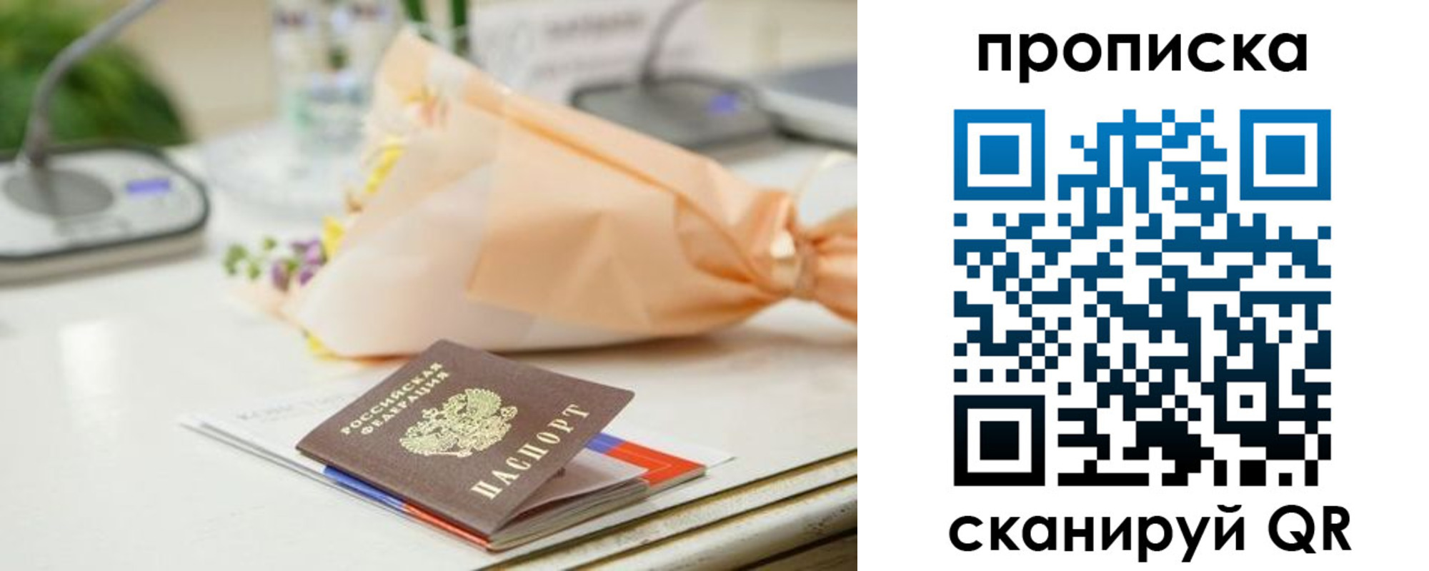 прописка в Оленегорске