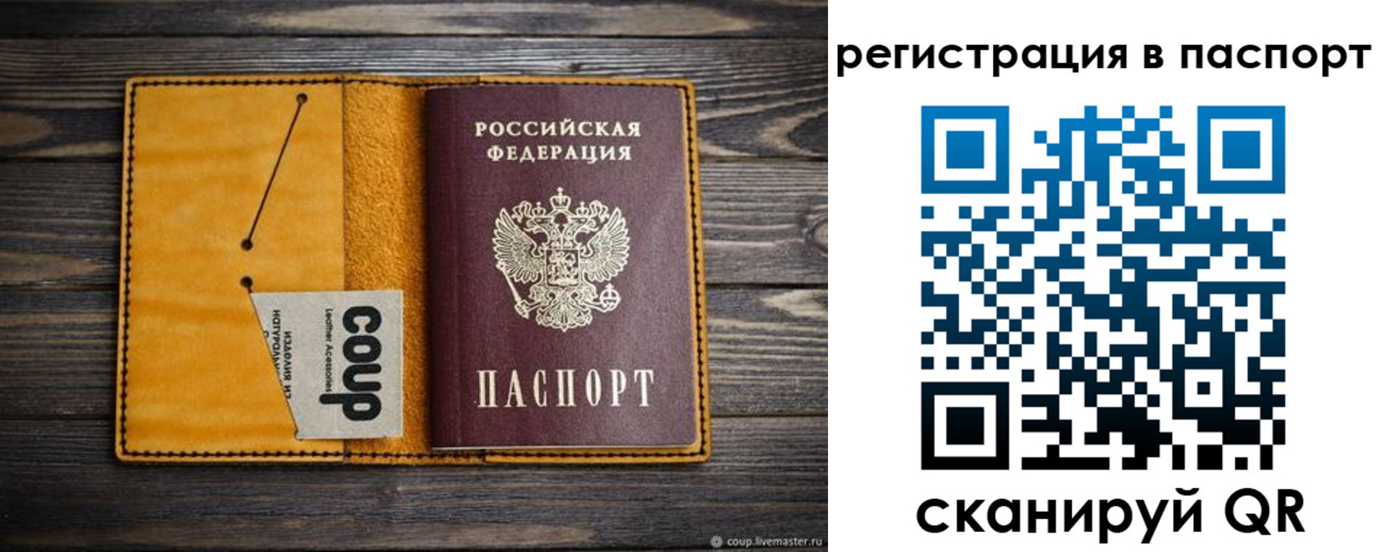 прописка ребенка в Оленегорске